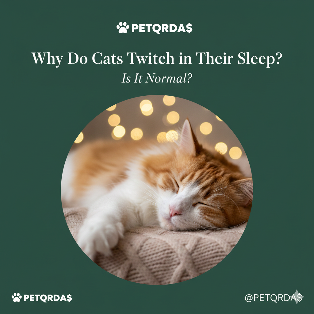 Why Do Cats Twitch in Their Sleep? Dreams, Instincts, or Health Issues?
