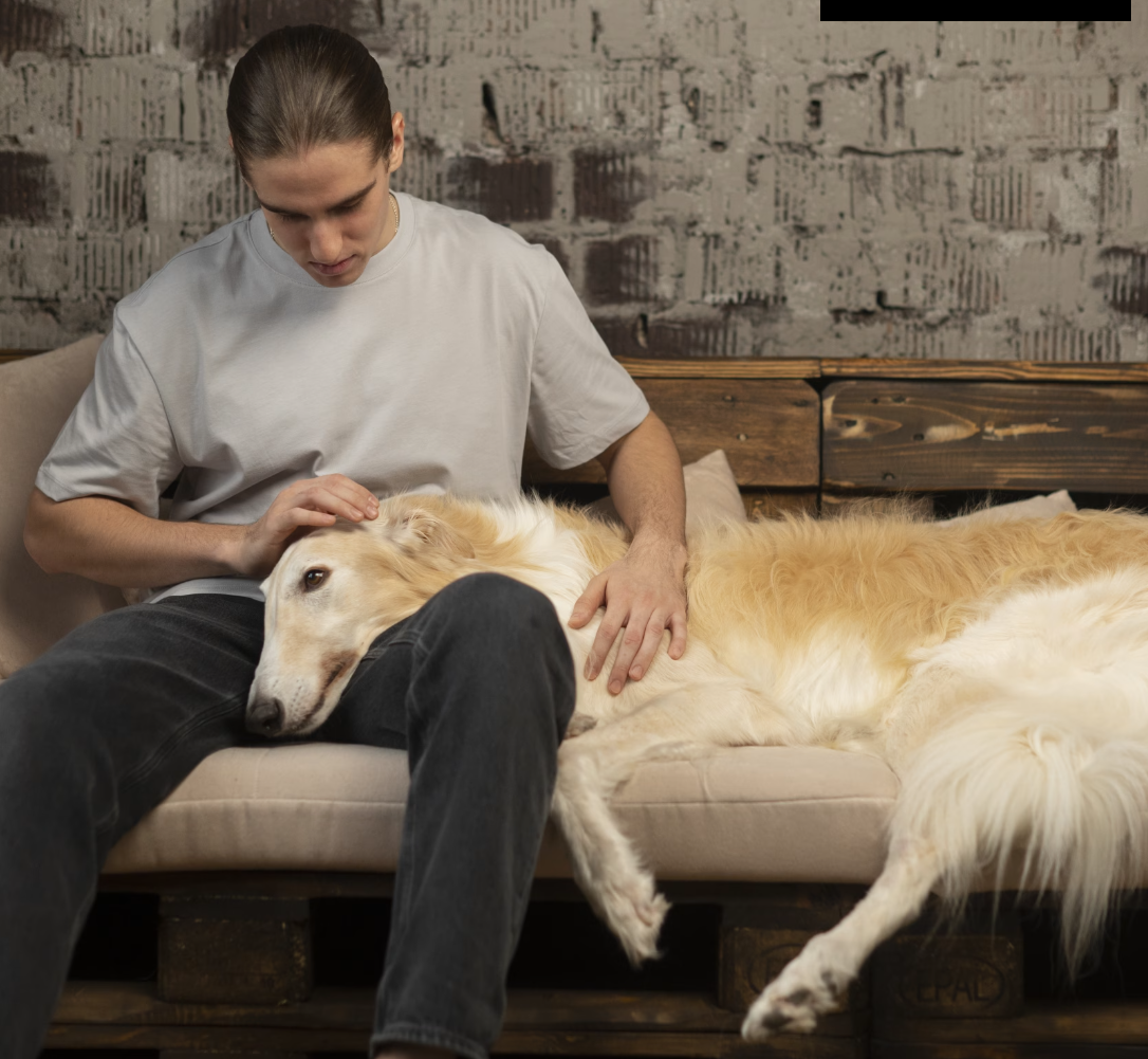 How Can Home-Based Care Ease the Transition to Pet Euthanasia?