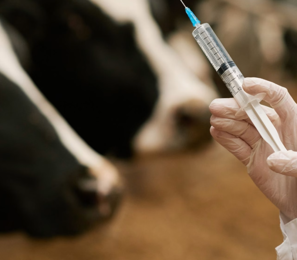 Vaccinated